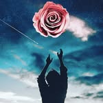Levi Price - @llevipricee - Instagram