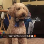 Levi Ratliff - @levi_dood - Instagram
