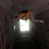 Levi ray - @leviray22 - TikTok