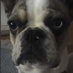 Levi Reeves - Facebook