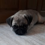 levi salgado - @salgadolevi3 - Instagram