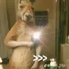 Levis Salgado - @levis.salgado - TikTok