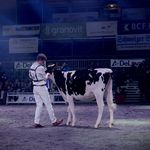Levin Schenk - @schenkleviin - Instagram