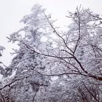 Levi - @levi_self - Instagram