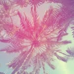 Levi - @leviself53 - Instagram