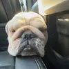 LEVI - @selfm4de_levi - TikTok