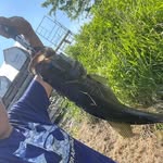 Levi Sellers - @levisellers09 - Instagram