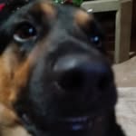 Levi Shepherd - @levishepherd07 - Instagram