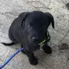 user1185848066973 - @levis.house_ - TikTok