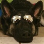 Levi Simmons - @mr.littlelevi - Instagram