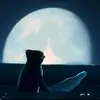 Levi Simmons - @itslevi159 - TikTok