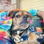 Levi Simms - @levi.simms.1 - Instagram
