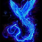Levi Simon - Facebook