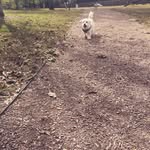 Levi Slater - @levi_slater - Instagram
