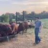 Levi smith - @levi_smith3 - TikTok