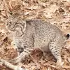 Levi Sowell - @levi.sowell5 - TikTok