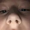 Levispaan - @levi026.nl - TikTok