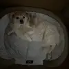levistaton2 - @levi.staton3 - TikTok