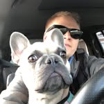 Levi Stein - @levi_stein14 - Instagram