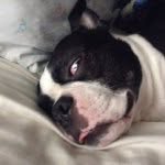 Levi Stephenson - @drillyerp - Instagram