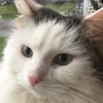 Levi.stephenson - @levi.stephenson20054 - Instagram
