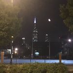 Levi Stevenson - @levi_stevenson55 - Instagram