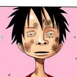 staw hat levi - @levi_with_a_straw_hat - Instagram