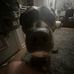 Levi Swift - Facebook