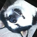 Levi Tanner - @levitanner8 - Instagram