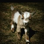 levi_tanner - @kbtanner05 - Instagram