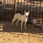 Levi Varner - Facebook