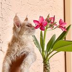 Bosley Levi Vaughan - @bosleylevivaughan - Instagram