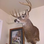 Dustin Levi Vaughan - @dustinlevivaughan - Instagram