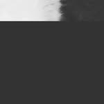 Levi Walsh - @levi_walsh110821 - Instagram