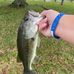 Levi Ward - Facebook