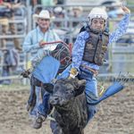 Levi Ward - @wardy.levi_69 - Instagram