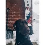 Levi Wellington - @leviswellington4 - Instagram