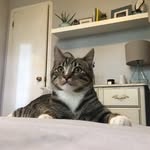 Levi L. Welsh - @levi.l.welsh - Instagram