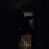 Levi Wiggins - @levi.wiggins - TikTok