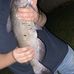 Levi Wilcox - Facebook