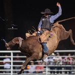 Levi Wilkins - Facebook