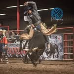 Levi Wilkins - @leviwilkins65 - Instagram