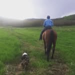 Levi Wilkins - @wilkins_levi - Instagram