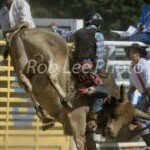 Levi Wilkins - @rank_rider - Instagram