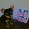 levi wilkins 🐕 - @levi.wilkins_ - TikTok