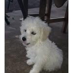 Levi - @levi_wolff_goulart234554 - Instagram