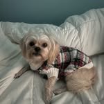 Levi Woods - @leviwoods8 - Instagram
