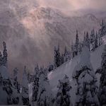 Levi Worthington - @levi_5219 - Instagram