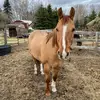 Levi Worthington - @levi_5219 - TikTok