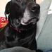 Levi Wright - Facebook